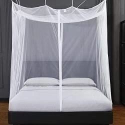 Mosquito Net-12487962