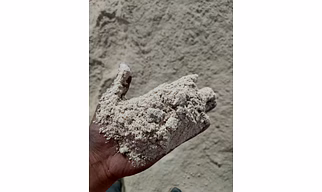 Rice Husk Powder