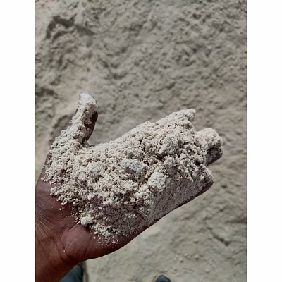 rice husk powder