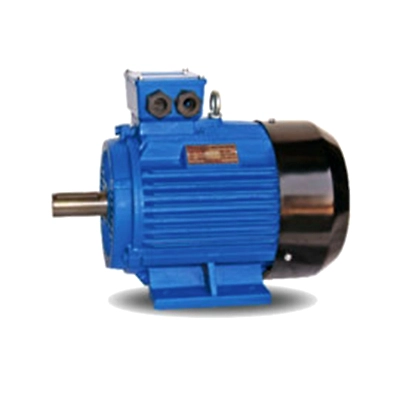 Image of Praksh Pumps Prakash Induction Motors 1400 RPM, a motor solution.