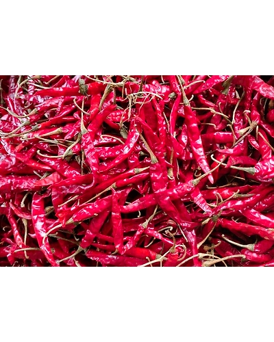 Teja Dried Red Chilly-12432202