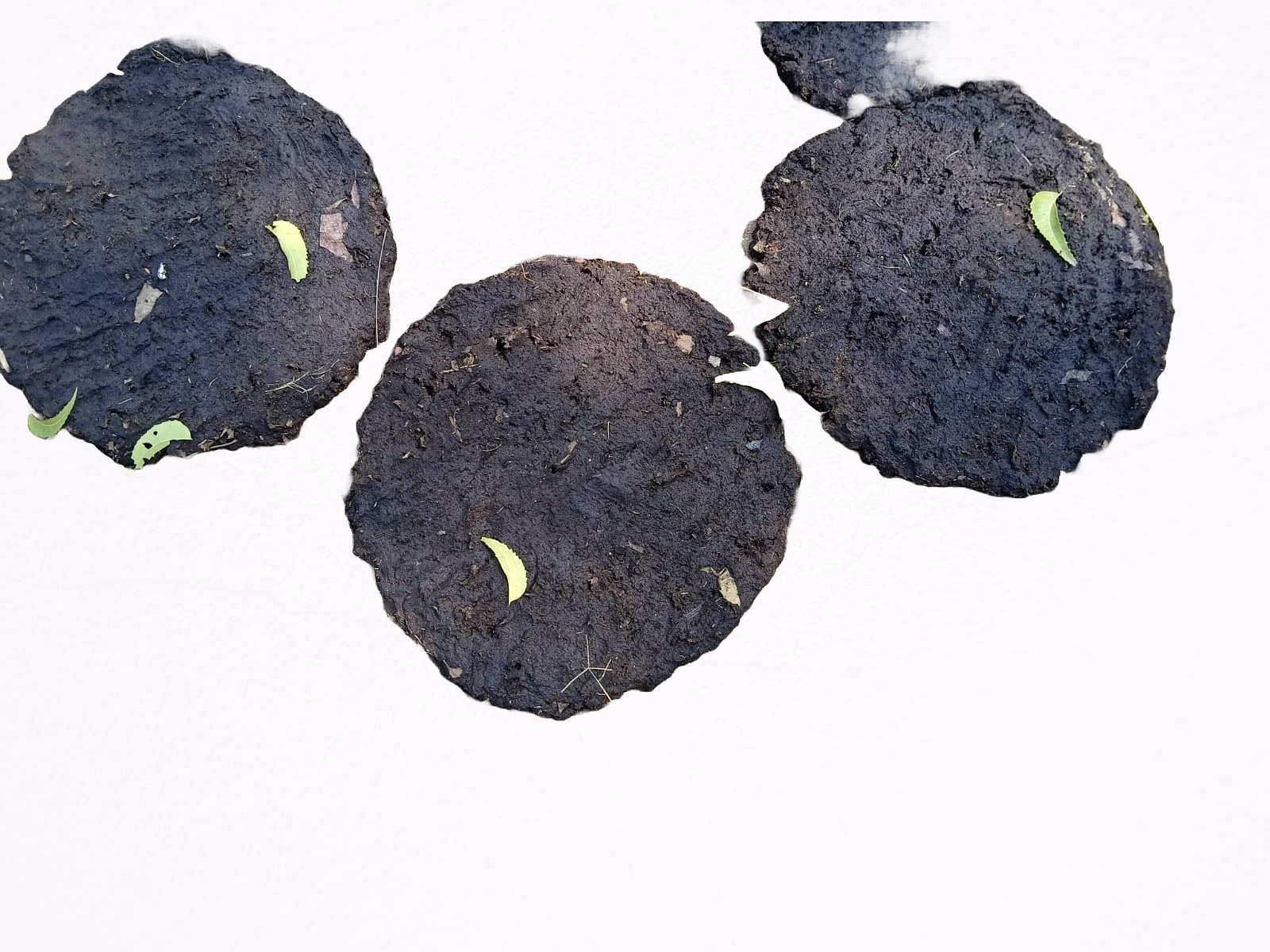 cow dung cake