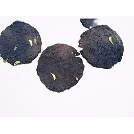 cow dung cake