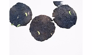 Cow Dung Cake
