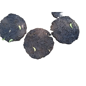 Cow Dung Cake