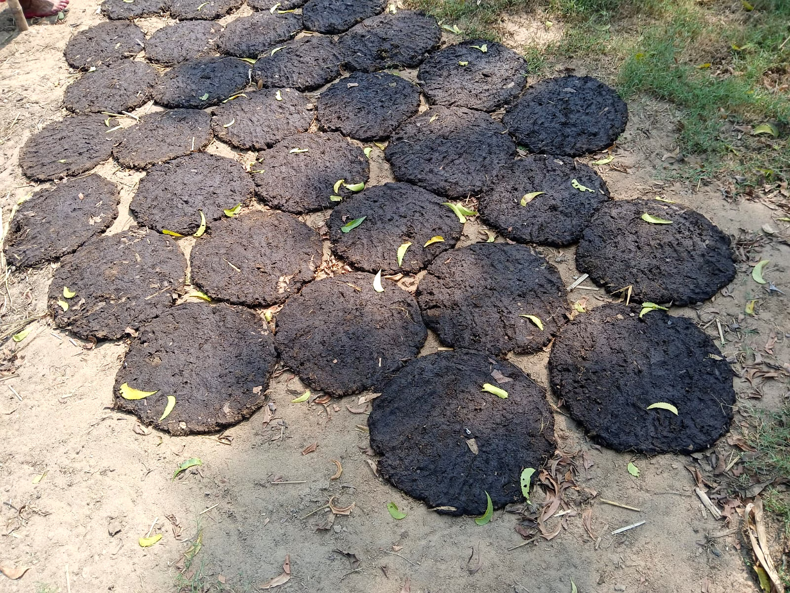 Cow Dung Cake image 5