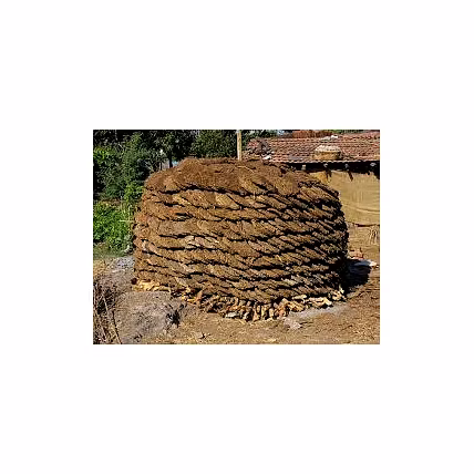 Cow Dung Cake-3