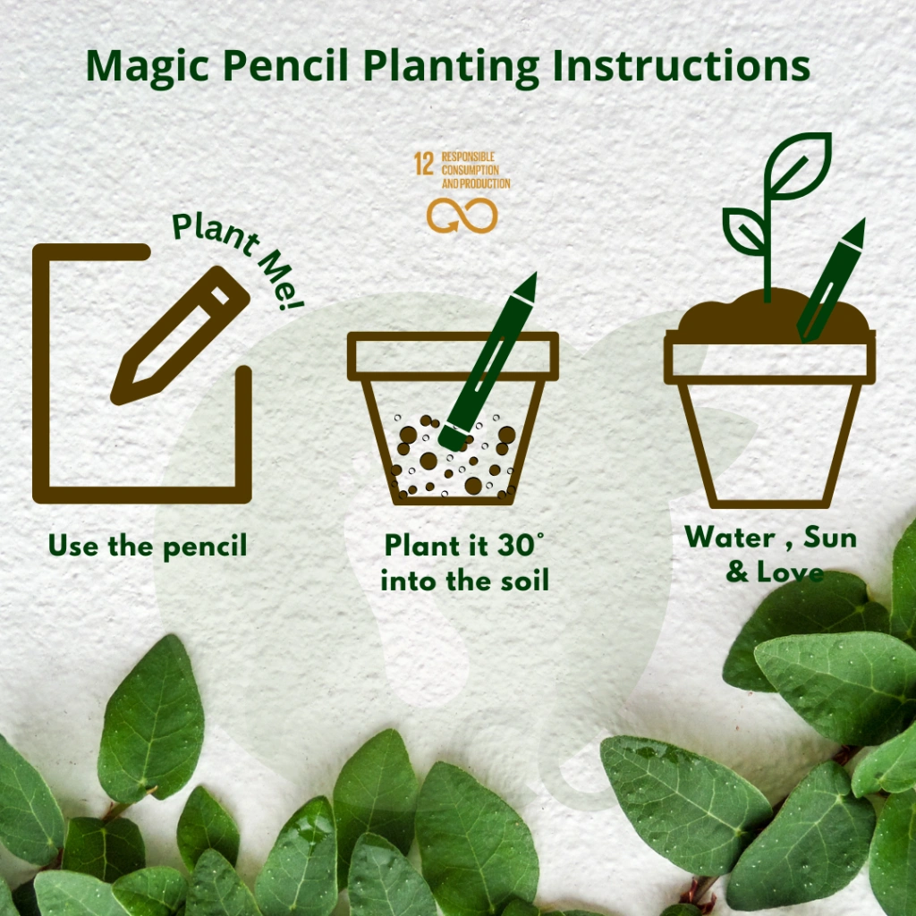 Plantable Pencil- Black Paper-4