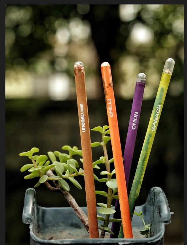 Plantable Color Paper Black Lead Pencil-1