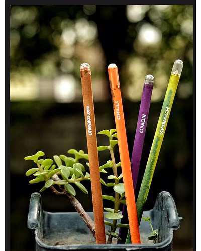 Plantable Color Paper Black Lead Pencil-1