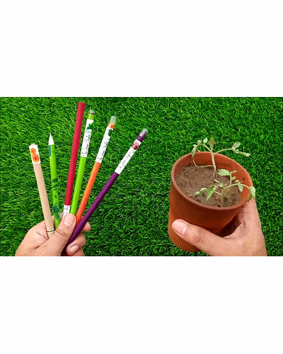 Plantable Color Paper Black Lead Pencil-VEPP001