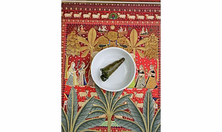 Spit Free Tobacco Free 6 MONTHS Paan