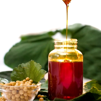 Non GMO Soya Lecithin-3