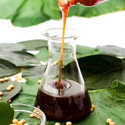 Non GMO Soya Lecithin-4