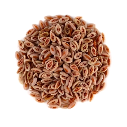 Psyllium Husk-3
