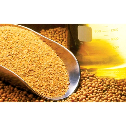 Soyabean Meal (DOC)-12433144