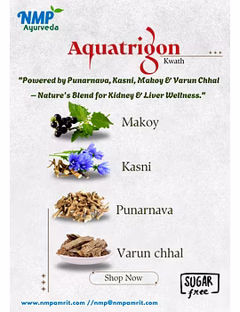 Aquatrigon kwath-A powerful Ayurvedic blend of Punarnava, Kasni, Makoy &amp; Varun Chhal for kidney detox, liver care, and fluid balance.-2-sm