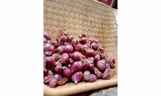 Onion