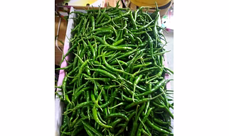 Green Chilli
