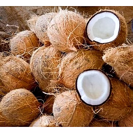 semi husk coconut