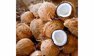Semi Husk Coconut