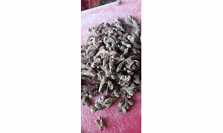 Dry Ginger