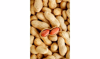 Peanut