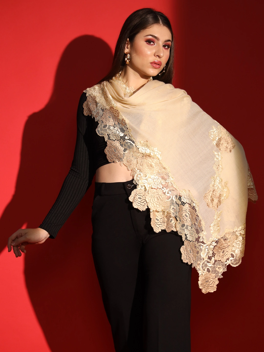 Lace-Edged Kashmiri Beige Shawl: Women's Woolen Shawl-4