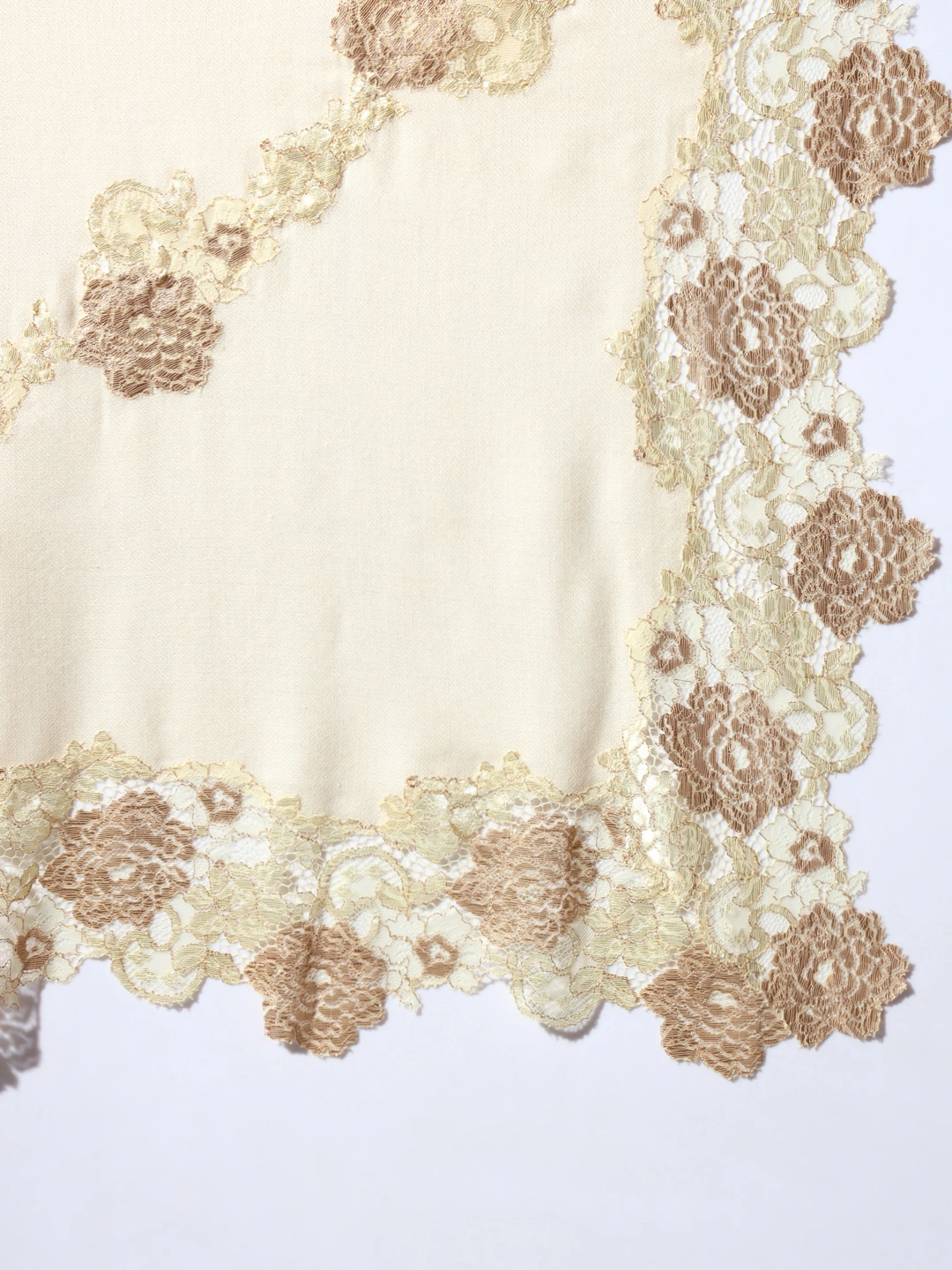 Lace-Edged Kashmiri Beige Shawl: Women's Woolen Shawl-6