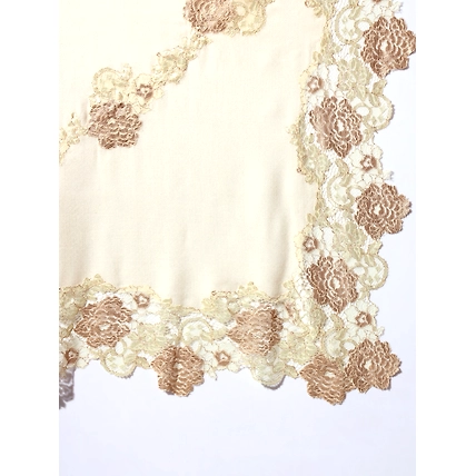 Lace-Edged Kashmiri Beige Shawl: Women's Woolen Shawl-6