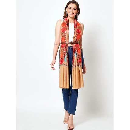 Brown Shawl with Embroidered Ethnic Motifs-MOD-PE-FW-DR-EMBR-23
