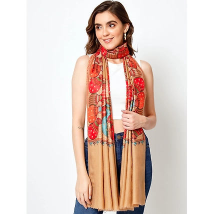 Brown Shawl with Embroidered Ethnic Motifs-2