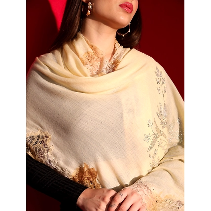 beige shawl with lace and swarovski-ladies kashmiri shawl-5