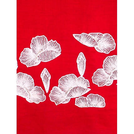 Red Shawl Pure Pashmina Shawl, 100% Pashmina Shawl, Kashmiri Shawl, Handmade Shawl, Hand embroidered shawls-6