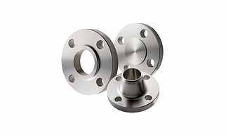 Stainless Steel Flanges