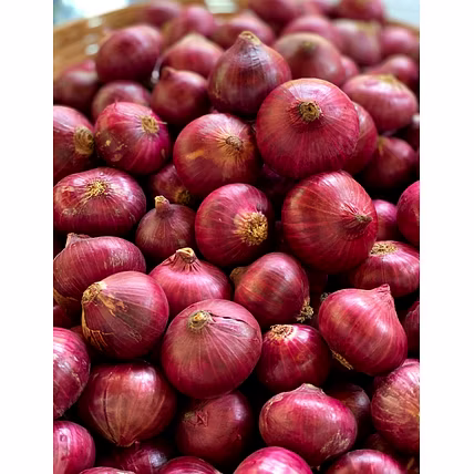 Bangalore Rose Onion-1