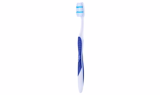 Paris-Merlin Toothbrush