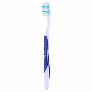 Paris-Merlin Toothbrush