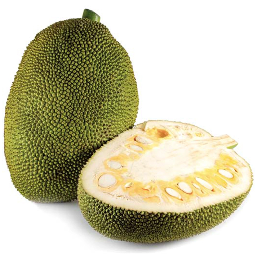 Jackfruit