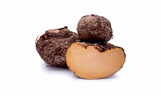 Elephant Yam (Jimikand/Oal/Suran)