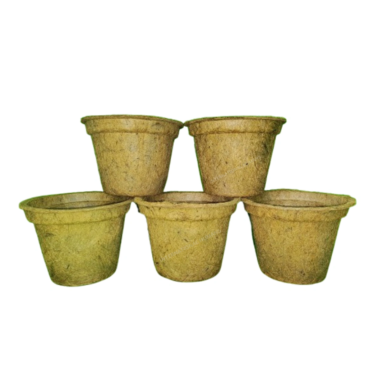 Coir Pot (Round shape)-1