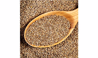 Barnyard Millet
