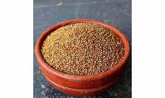Foxtail Millet - Kangni