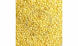 Proso Millet - Cheena