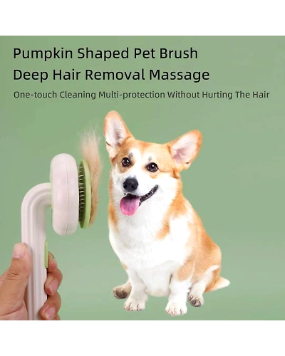 Cat and Dog Grooming Brush for Easy Hair Removal-1