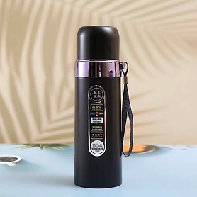 Denzcart Premium Insulated Stunning Printed Water Bottle | Vaccume Flask | Double Wall Insulated (Silver)