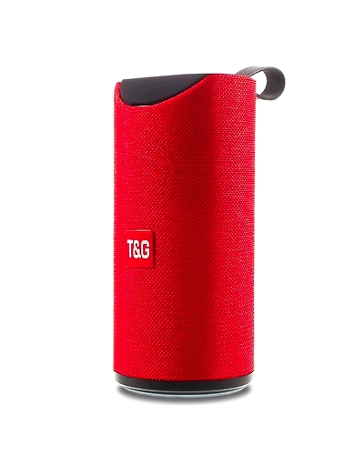 DC TG-113 10 Watt Wireless Bluetooth Portable Speaker (Multicolour)-B09M6YQNLV