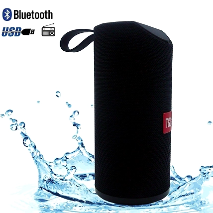DC TG-113 10 Watt Wireless Bluetooth Portable Speaker (Multicolour)-1