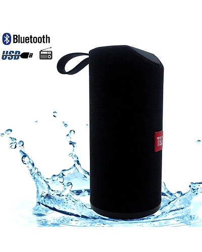 DC TG-113 10 Watt Wireless Bluetooth Portable Speaker (Multicolour)-1