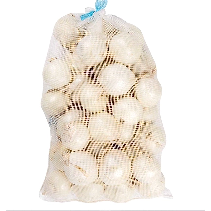 Denzcart Organic White Onion Directly From Farm (Packed By Farmer) 300g-B0BTYBQSKN